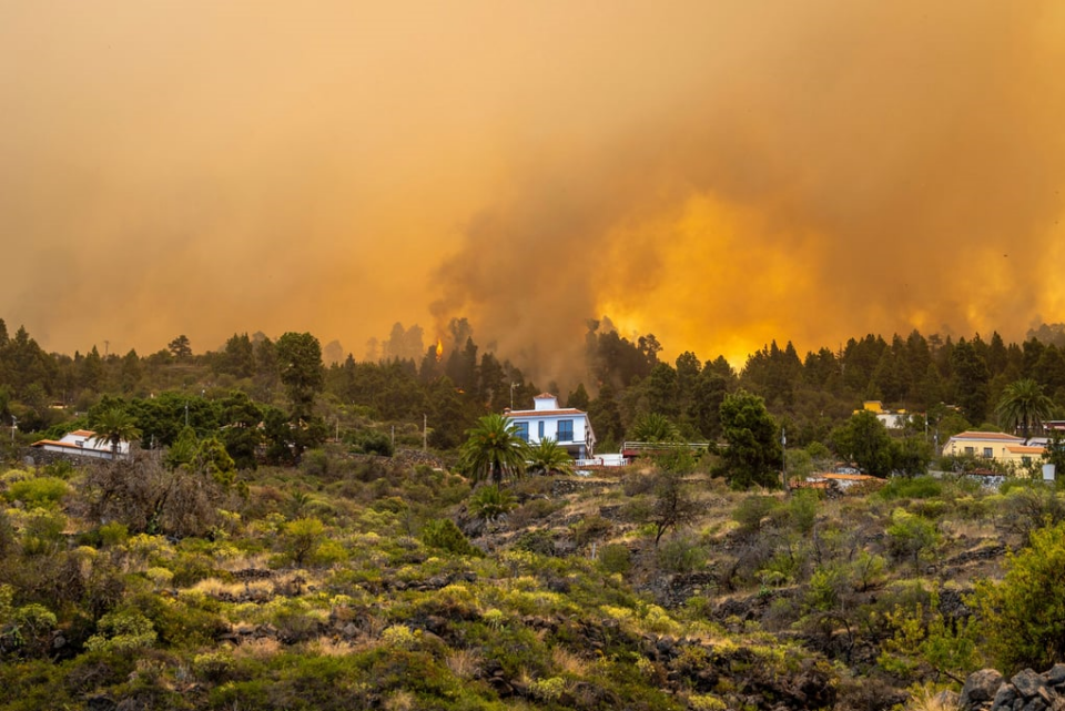 گسترش آتش سوزی های جنگلی در یونان3