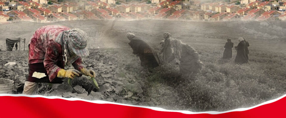 العاملات الفلسطينيات02