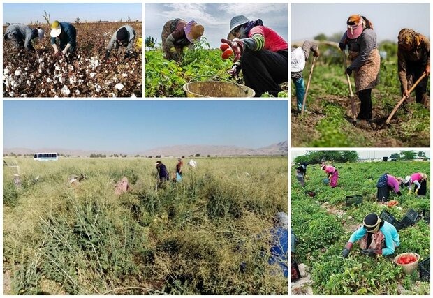 جانباختن و زخمی شدن پنج زن کشاورز در دهدشت 1 جانباختن و زخمی شدن پنج زن کارگر گوجه چین در دهدشت4