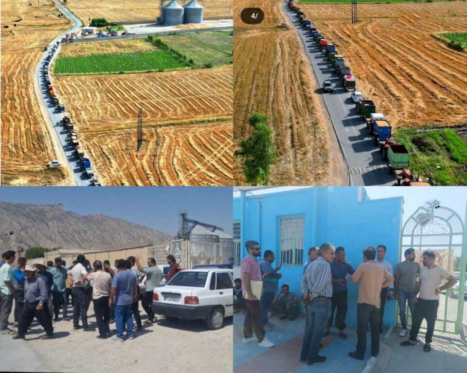 نارضایتی و تجمع گندمکاران دره شهر در ایلام3