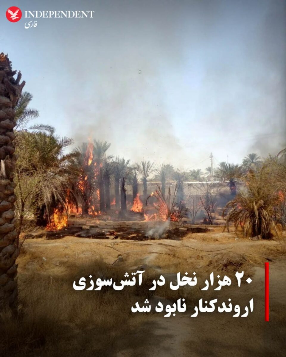 آتش‌سوزی گسترده در نخلستان‌های اروندکنار