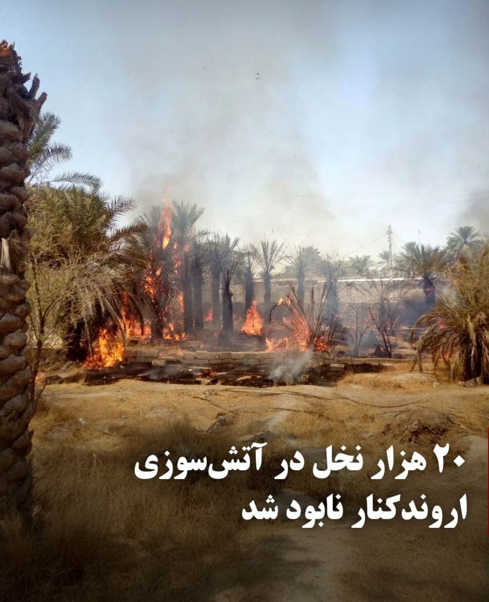 آتش‌سوزی گسترده در نخلستان‌های اروندکنار