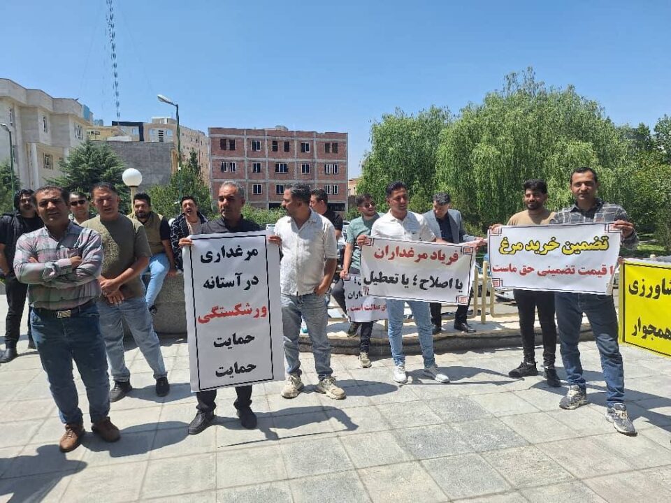 اعتراض و تجمع مرغداران در مشهد1