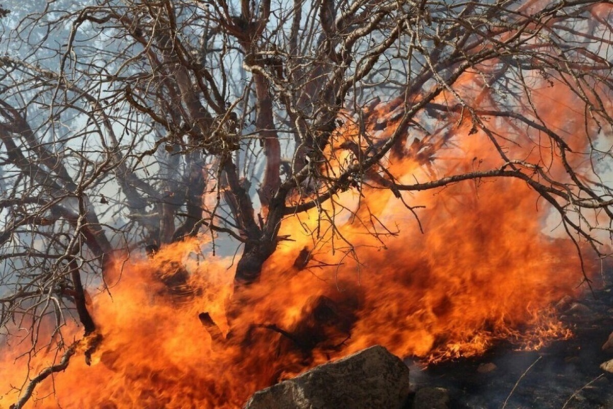 آتش‌سوزی گسترده در مراتع شرکان پاوه