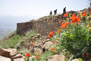 ممانعت فعالان مدنی و زیست‌محیطی از تخریب حریم قلعه حسن‌آباد سنندج