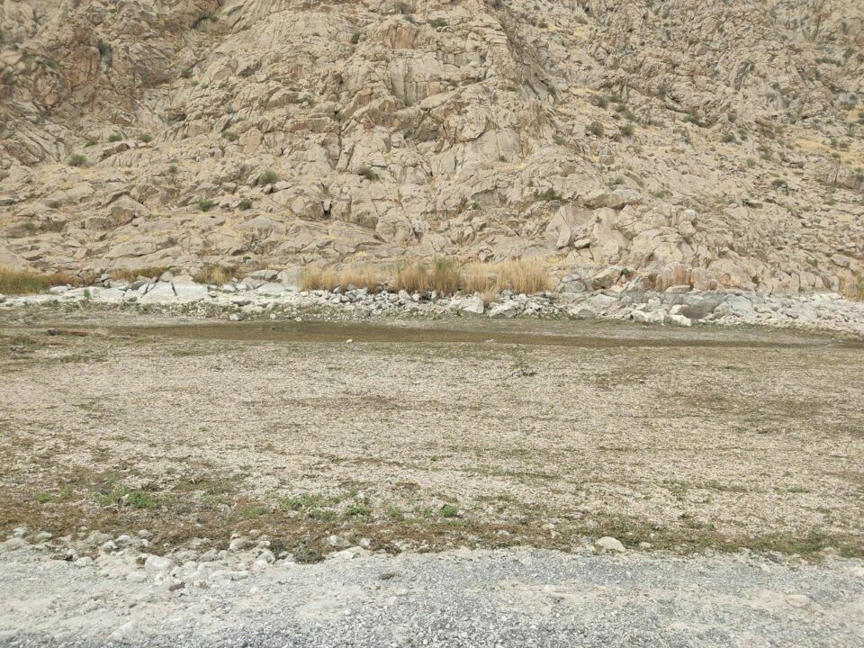 گنجینه‌ای طبیعی تالاب هشیلان کرمانشاه در آستانه نابودی1