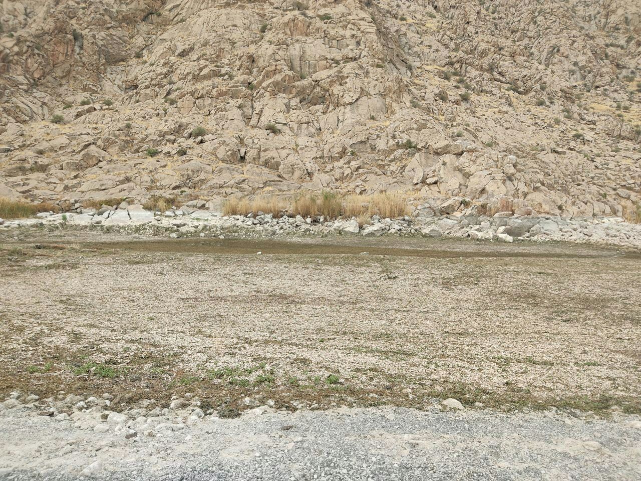 گنجینه‌ای طبیعی تالاب هشیلان کرمانشاه در آستانه نابودی