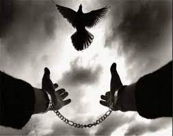 خطر قریب الوقوع اجرای حکم اعدام هشت زندانی سیاسی