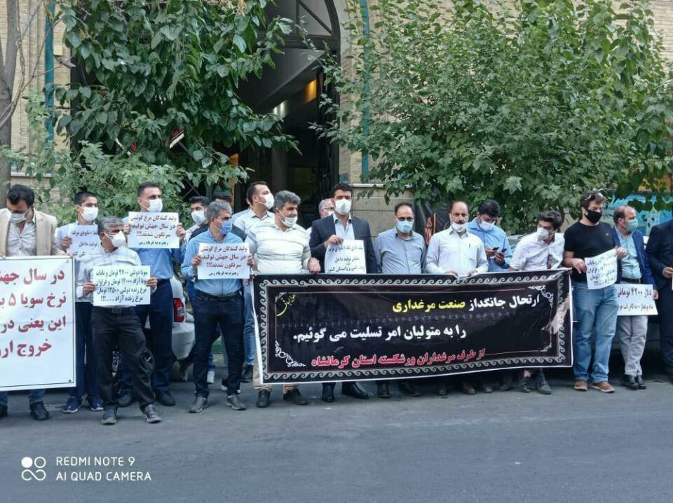 گردهمایی نارضایتی مرغداران خراسان رضوی 1 گردهمایی نارضایتی مرغداران خراسان رضوی