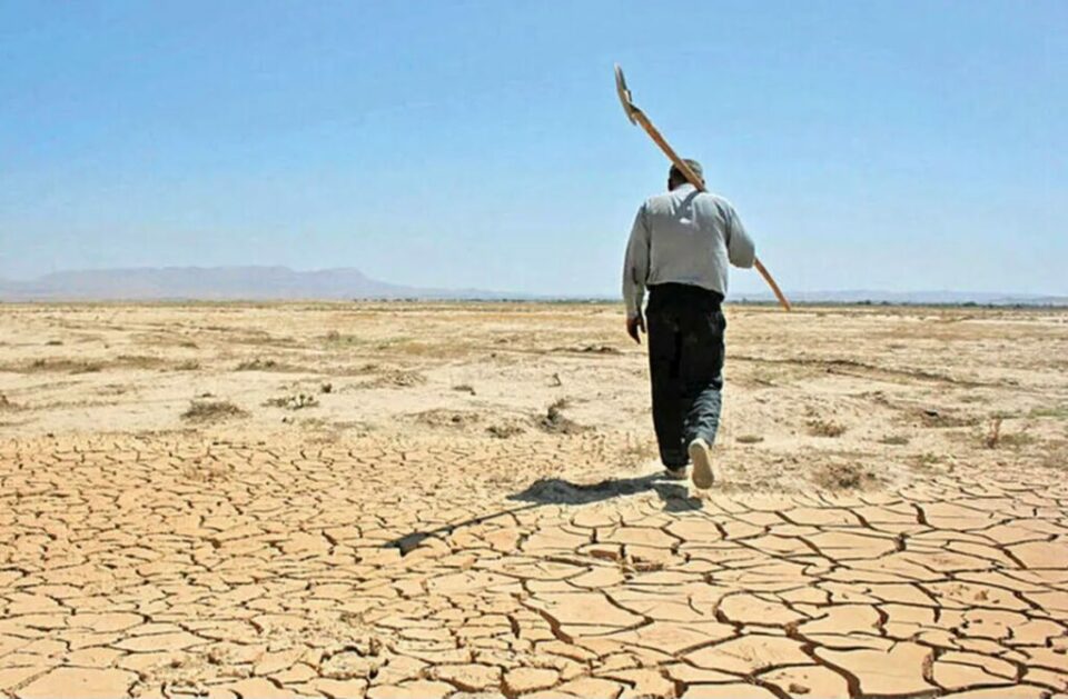 1987420 132 1024x671 1