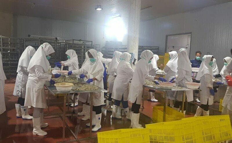 بلاتکلیفی شش کارگر اخراجی شرکت کشت و صنعت مکران