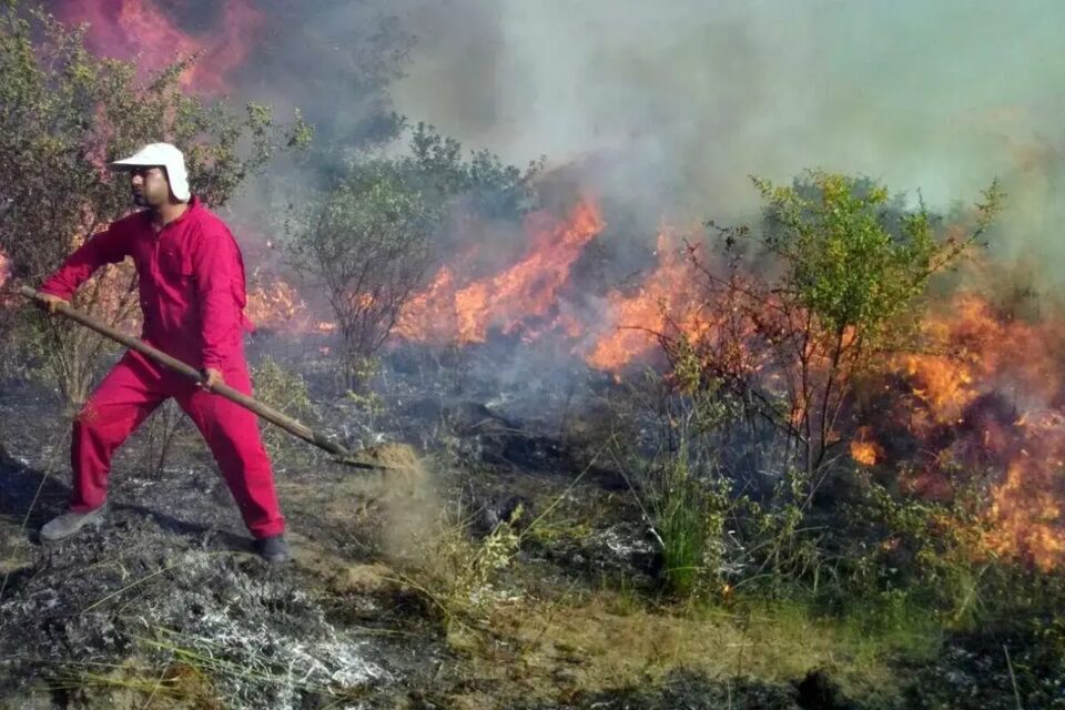 تداوم آتش‌سوزی جنگل‌های نمنق در جلفا 2