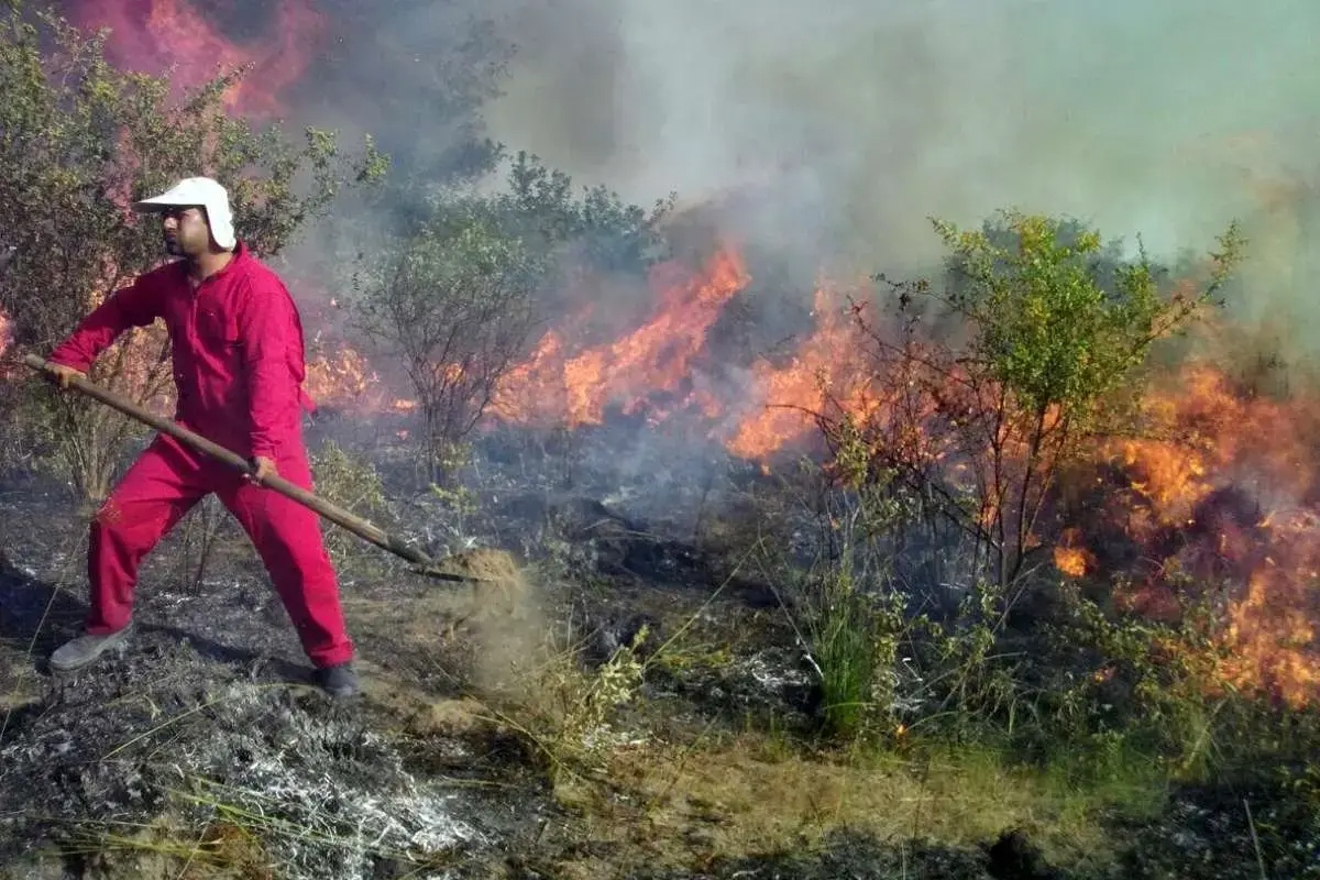تداوم  آتش‌سوزی جنگل‌های نمنق در جلفا