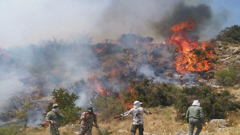 تداوم آتش‌سوزی در جنگل‌های هیرکانی چالوس