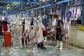 تداوم تجمع و اعتصاب کارگران کشتارگاه ماکیان الوان