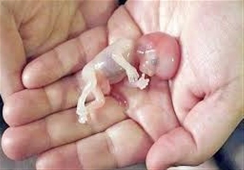 محکومیت لهستان در دادگاه حقوق بشر اروپا