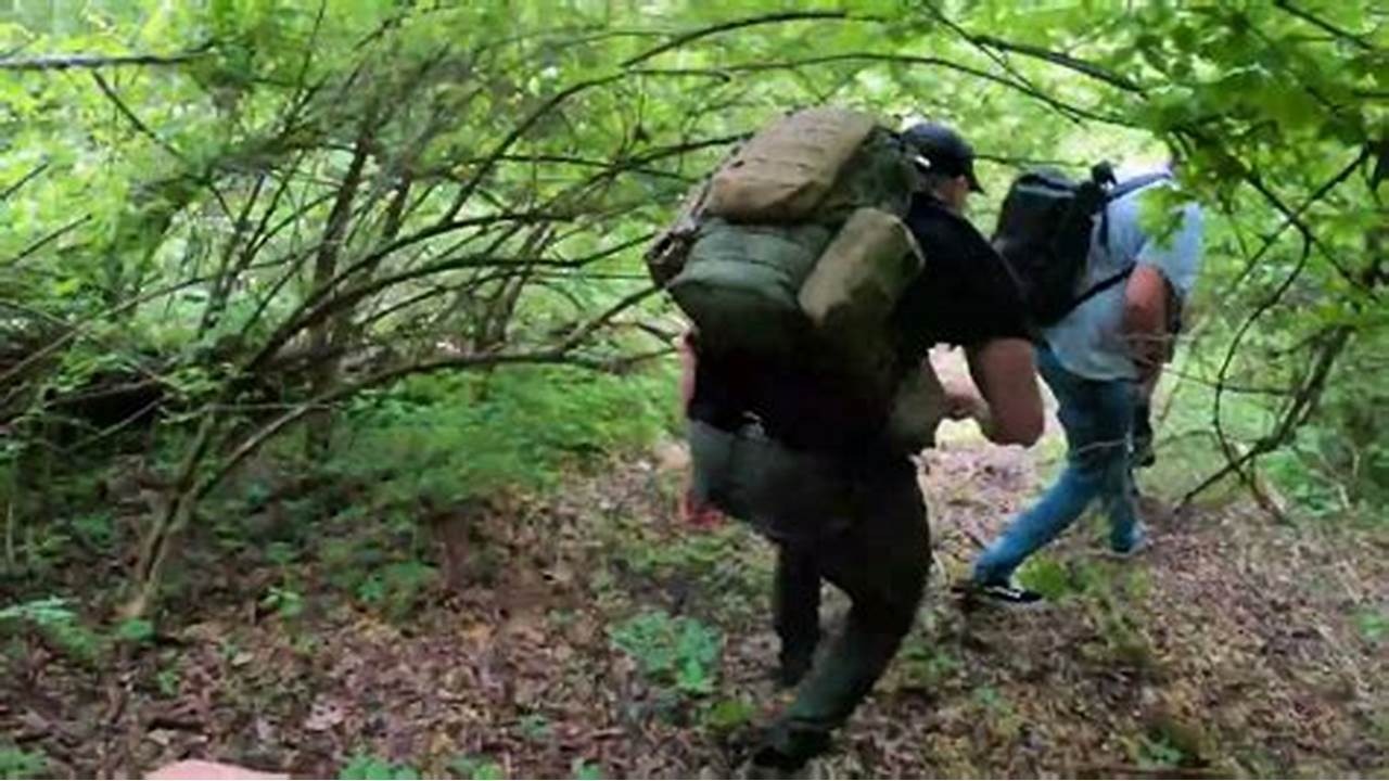 اعتراض و نارضایتی قرق‌بانان جنگل‌های مازندران