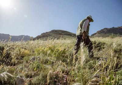 تجمع  اعتراضی قرق‌بانان مازندران