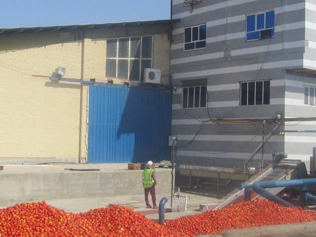 تعطیلی واحد بسته‌بندی رب گوجه در کهنوج