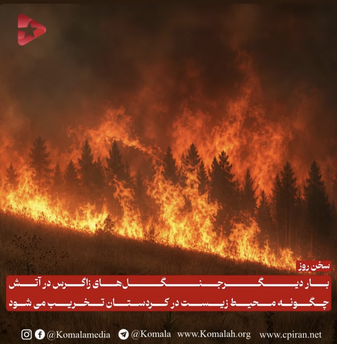بار دیگرجنگل‌های زاگرس در آتش  چگونه محیط زیست در کردستان تخریب می شود