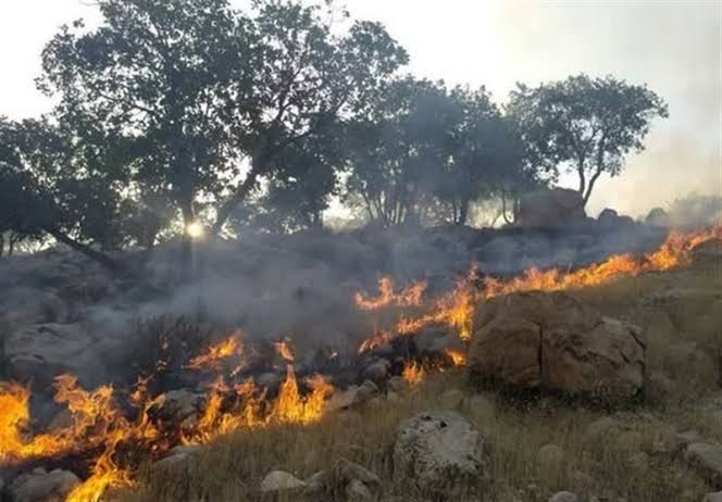آتش‌سوزی گسترده مراتع شیخان و نوسود در کرمانشاه