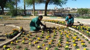 استمرار اعتراض کارگران فضای سبز شهرداری ایلام