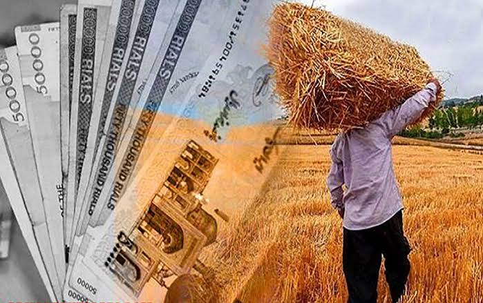 هشدار تشکلهای صنفی به بحران مطالبات گندم‌کاران
