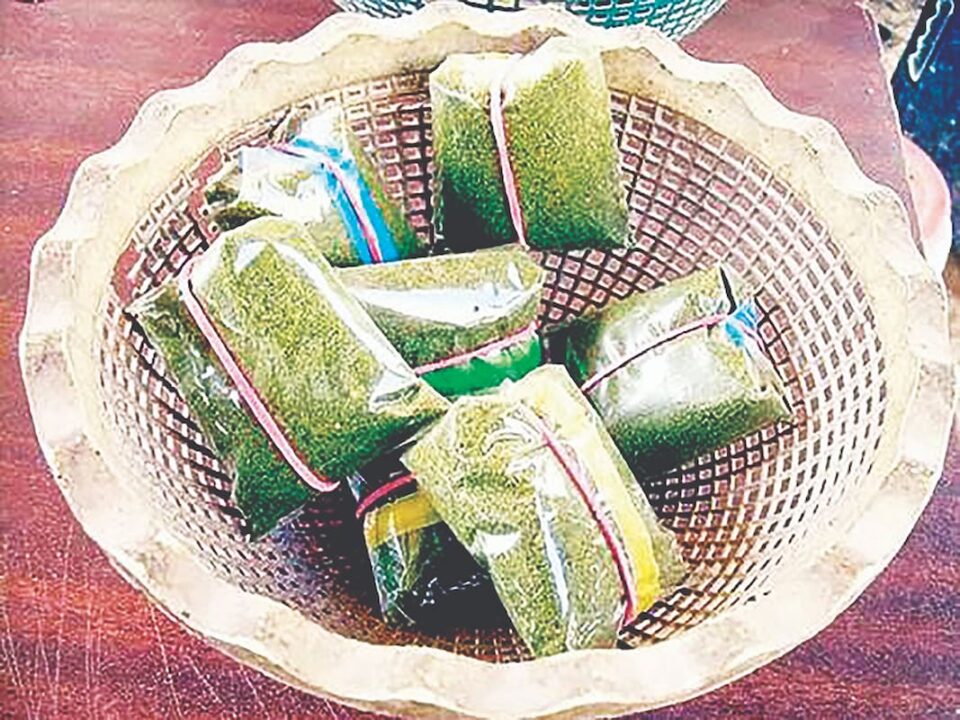 هشدار گسترش مواد مخدر در میان دانش‌آموزان کاشمر1