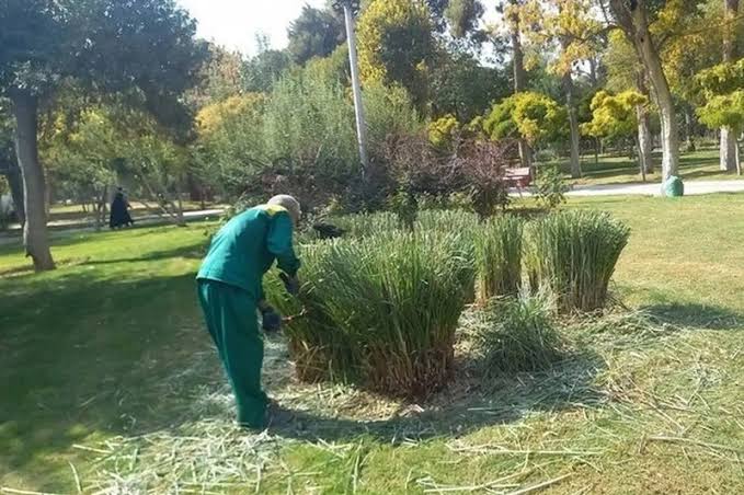 اعتراض کارگران فصلی فضای سبز دورود