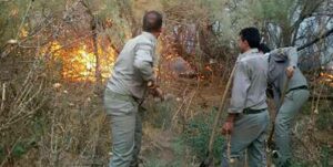 وقوع آتش سوزی در پارک ملی کرخه