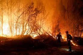 در آتش سوختن هزاران هکتار از جنگل های یونان