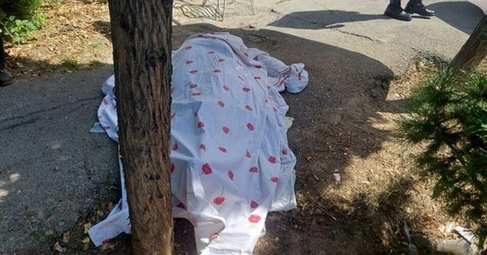 جانباختن و مصدومیت دو کارگر زن فضای سبز شاغل در شهرداری مشهد2