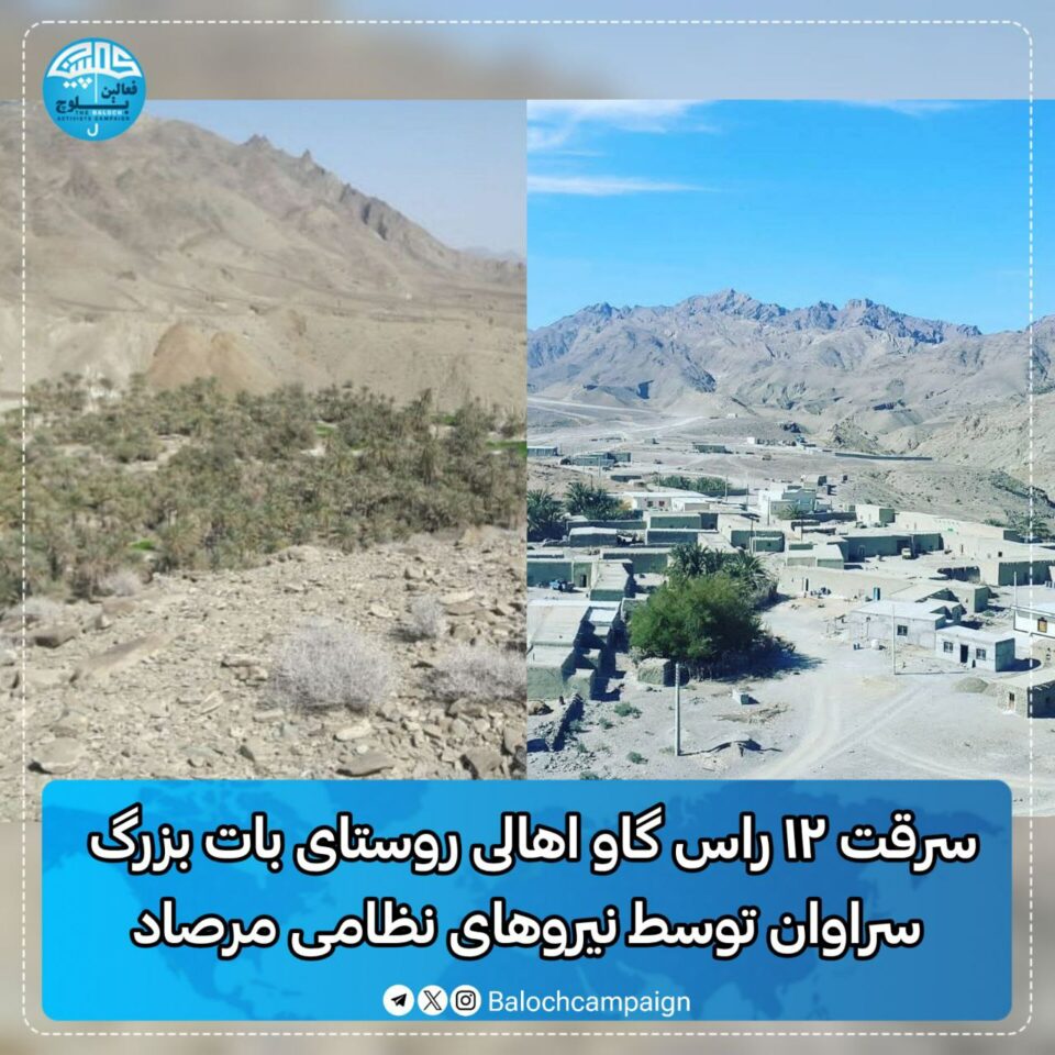 سرقت گاو های اهالی روستای بات سراوان توسط نیروهای نظامی مرصاد