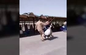 ضرب و شتم سوختبران و اخاذی مامورین مرزبانی زابل از آنان3