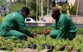 عدم پرداخت هفت ماهه دستمزد کارگران فضای سبز شهری چابهار 4