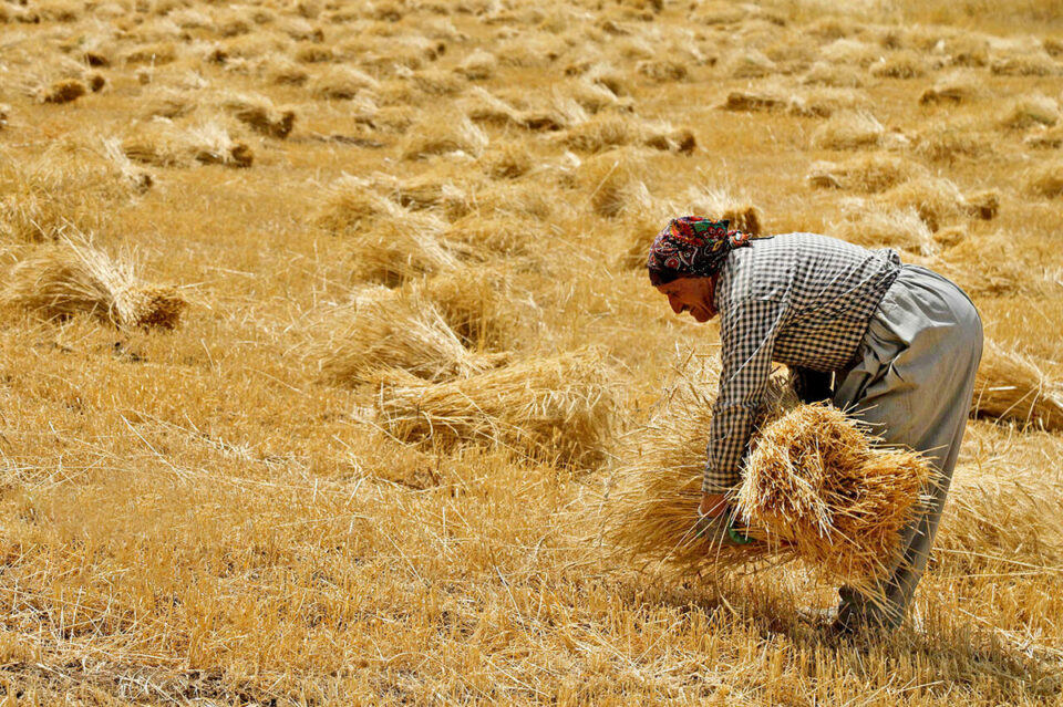 نارضایتی کشاورزان در کوردستان 3