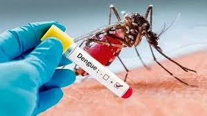 افزایش شمار مبتلایان به تب دنگی در شهرهای هرمزگان و چابهار