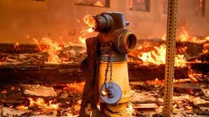 کشته شدن دست‌کم پنج نفر در پی آتش‌سوزی گسترده در لس‌آنجلس1