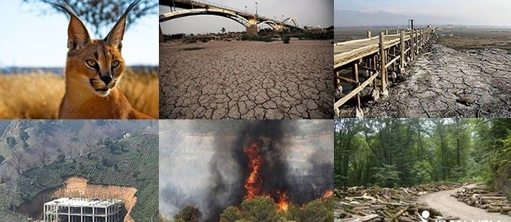 سخنی به مناسبت روز جهانی محیط زیست