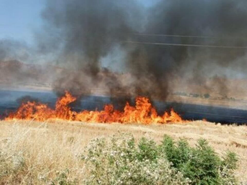 آتش‌سوزی مشکوک در مزارع جوانرود استان کرمانشاه