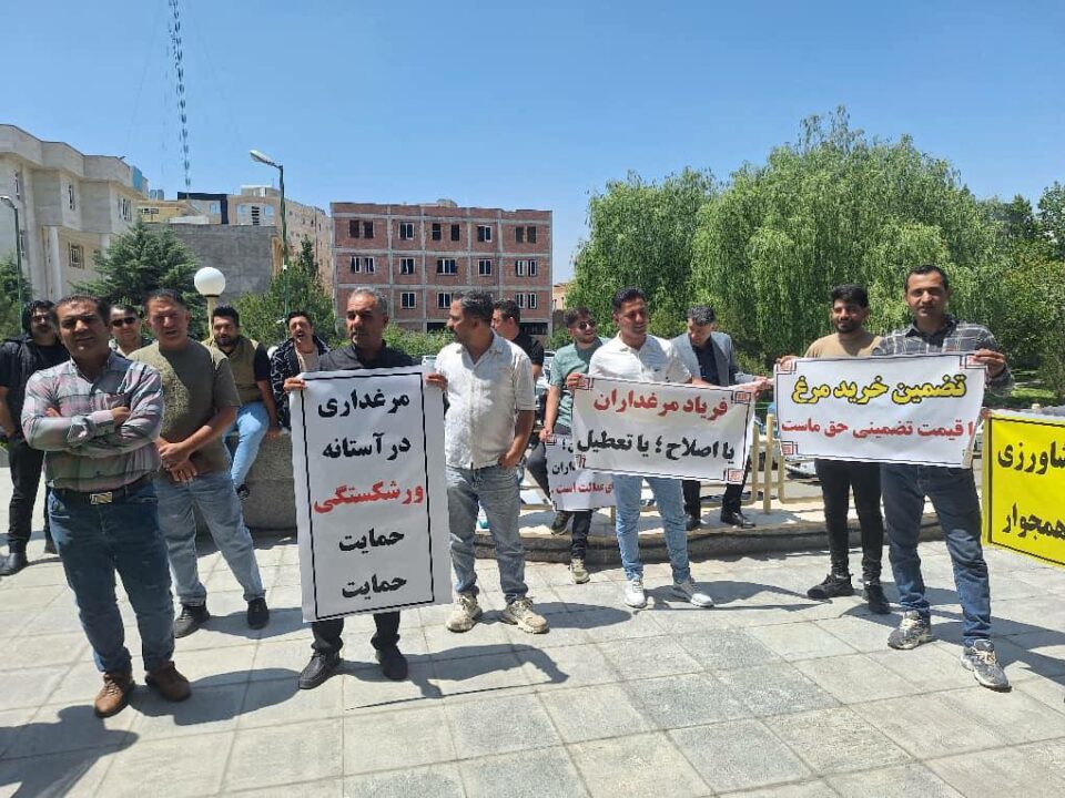 گردهمایی اعتراضی مرغداران مقابل جهاد کشاورزی اردبیل
