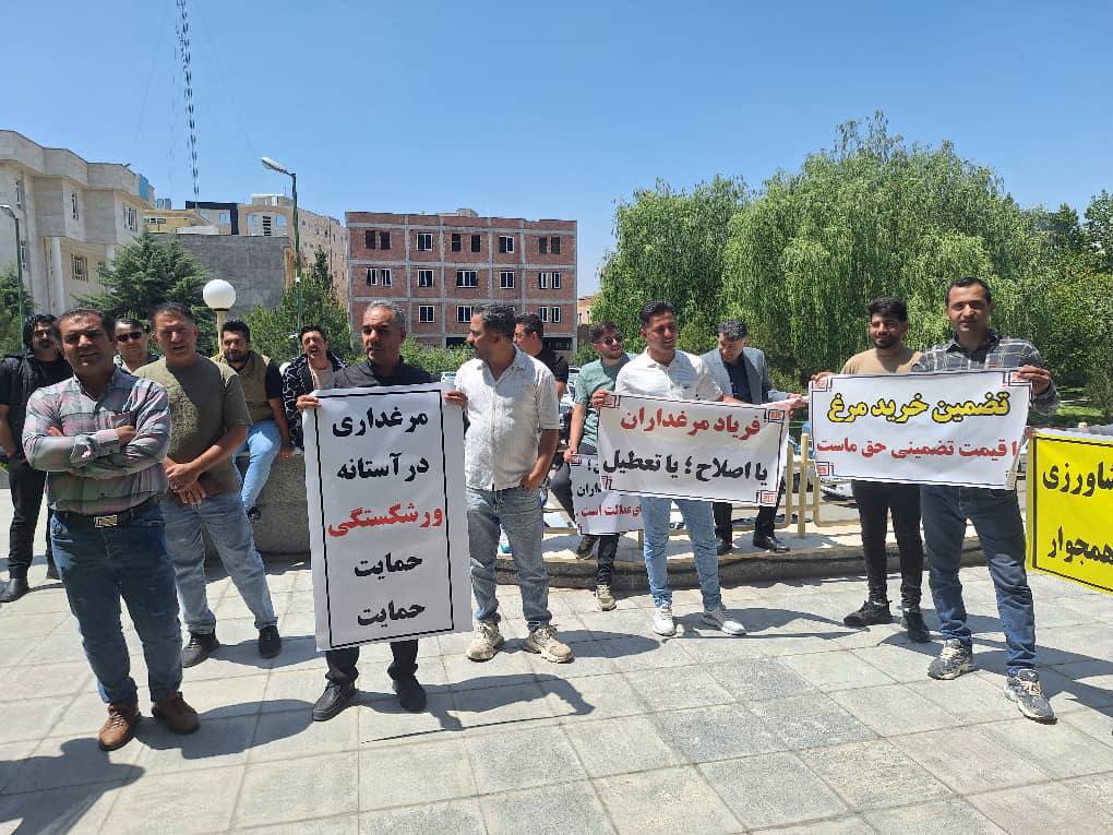 گردهمایی اعتراضی مرغداران مقابل جهاد کشاورزی اردبیل