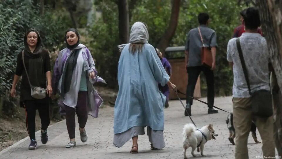 گسترش ممنوعیت سگ‌گردانی به شهرهای بزرگ ایران